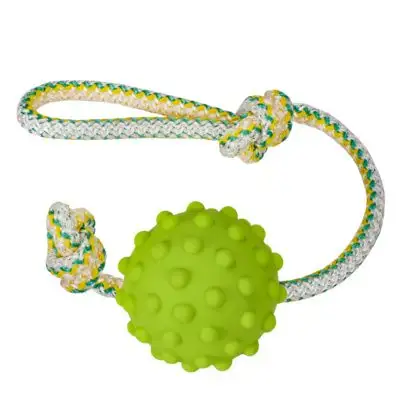 Купить tappi игрушка для собак "Бинц"
